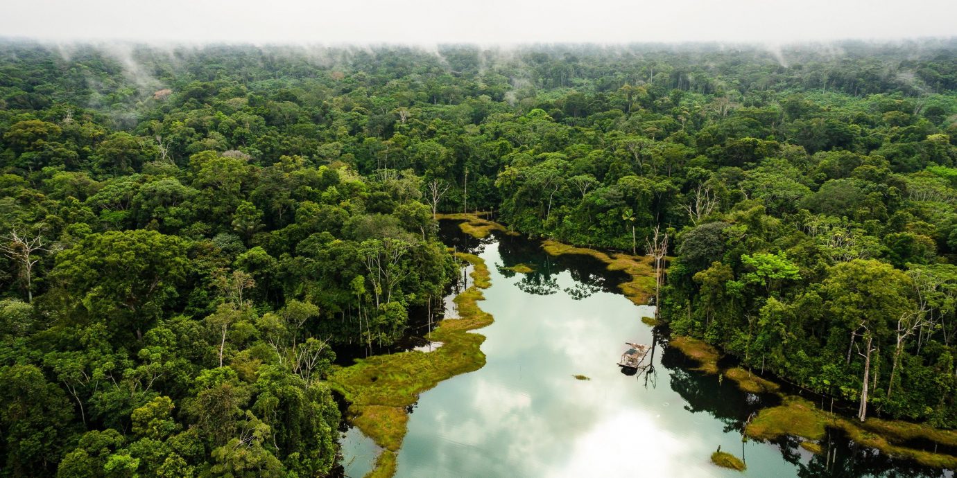 9 Rainforest Resorts That Put You Right in the Jungle