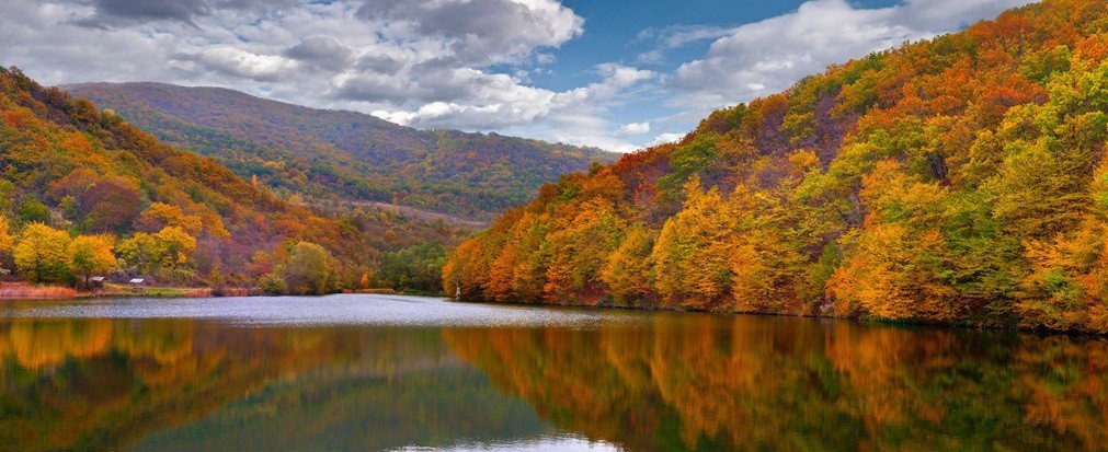 fall upstate ny - Forests & Nature Background Wallpapers on
